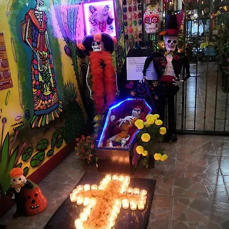 Hostal Oaxaca Magic-2